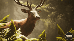 Animalia - Red Deer (male)
