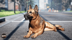 Animalia - German Shepherd
